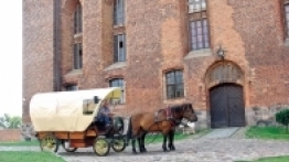 Pod zamkiem w Gniewie. - zdjęcie 4